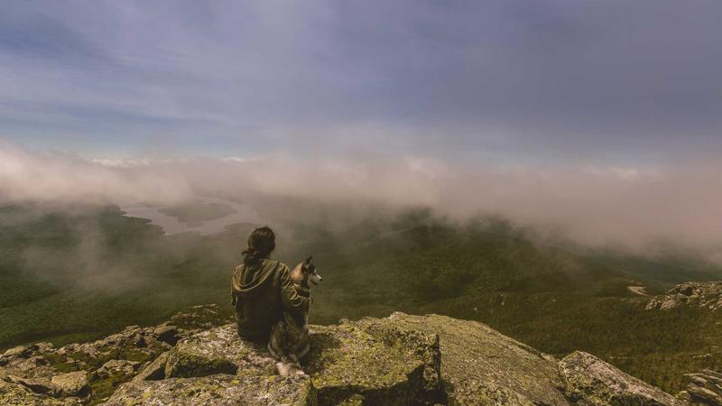 中医养生新视角：顺应天时，激活身体自愈力