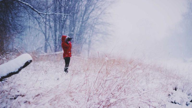 「营养密码」解锁健康饮食：科学搭配吃出好身体