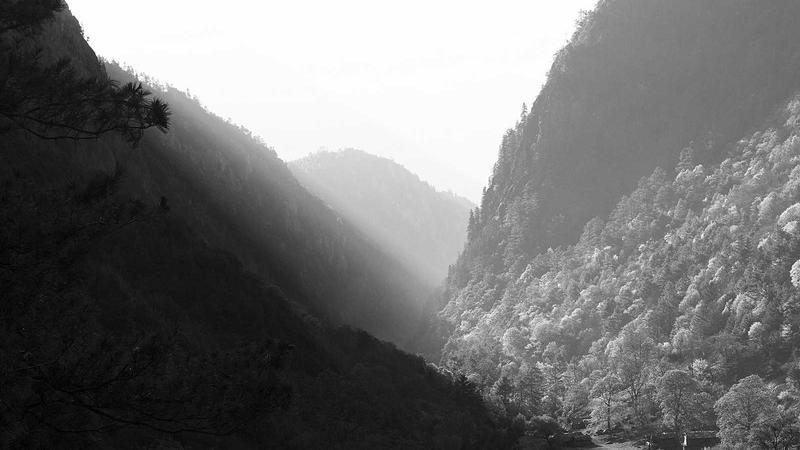 科学饮食金字塔：解锁健康养生的黄金密码