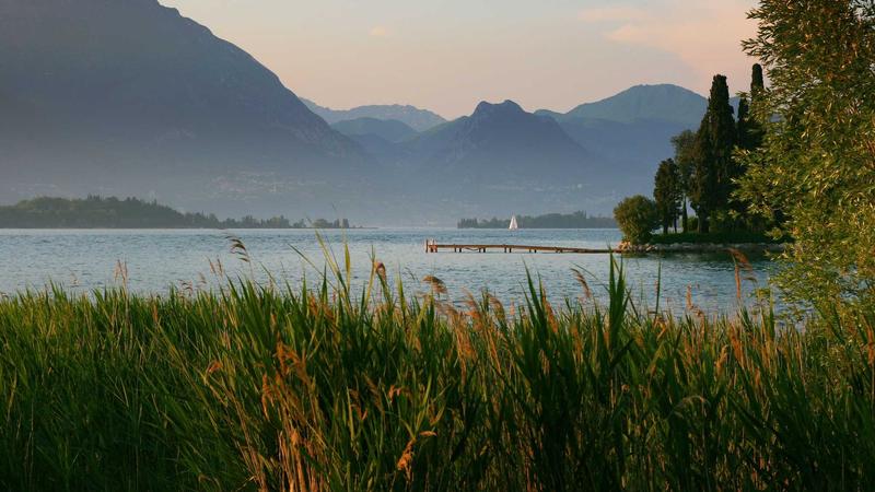 中医养生新视角：顺应四时调五脏，解锁健康密码