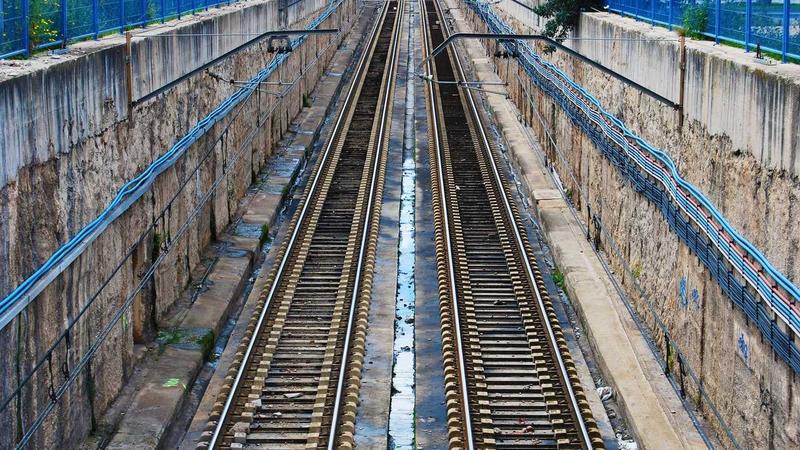 中医养生新视角：四时调养法，解锁健康长寿密码