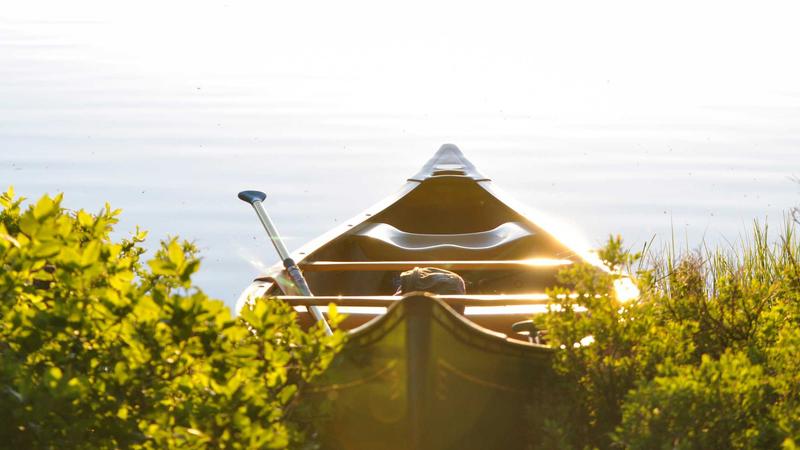 「饮食营养黄金法则」：吃出健康身体的5个科学秘诀