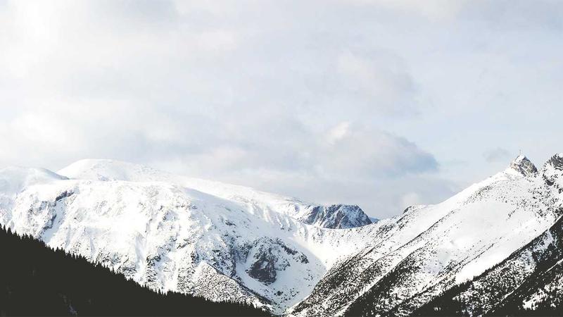 吃出免疫力！营养师揭秘：科学饮食的5个黄金法则