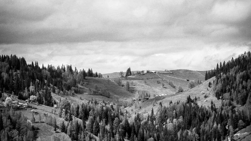 中医养生新视角：四季调养与体质辨识全攻略