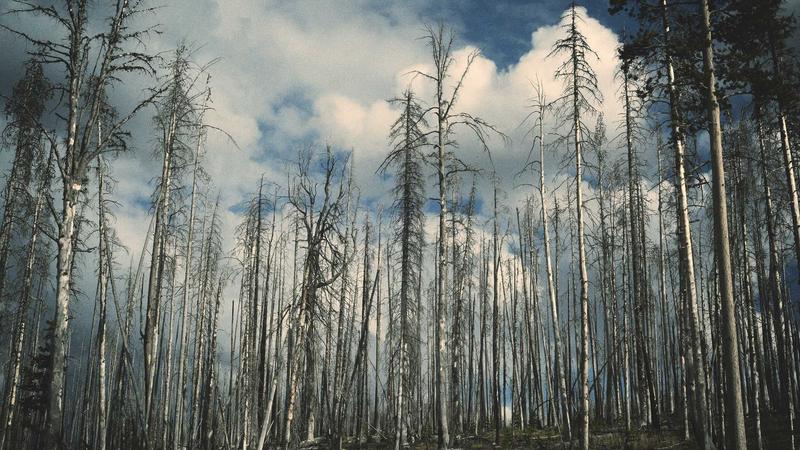 中医养生新视角：顺应天时，解锁身体自愈密码