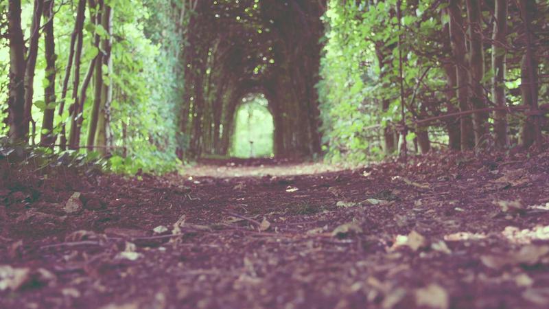 科学运动指南：解锁身体潜能的四大黄金法则