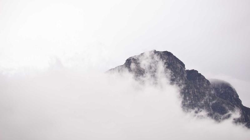 中医养生新视角：四季调养与体质平衡全攻略