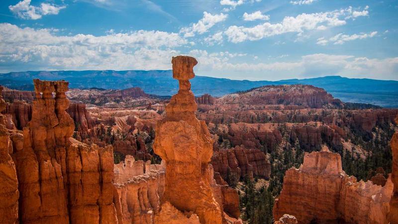 解锁饮食密码：吃出健康与活力的黄金法则