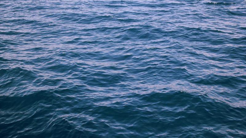 心理养生新视角：用科学方法守护你的情绪绿洲