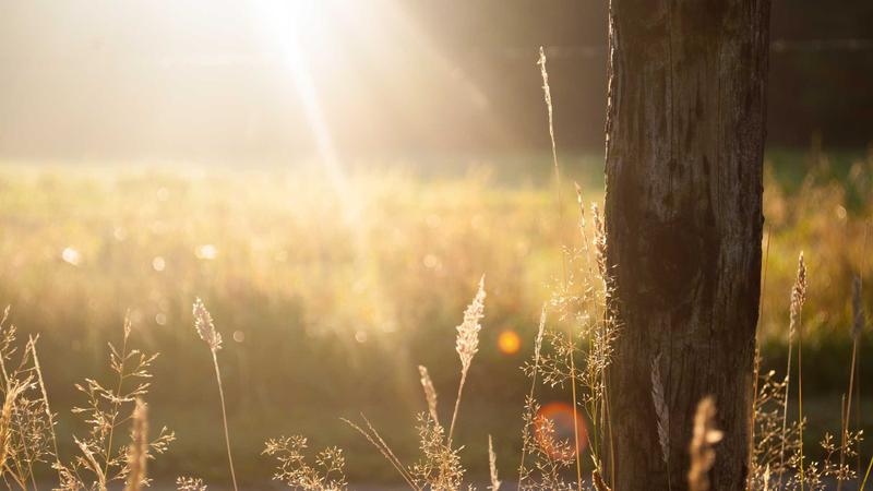 科学运动健身全攻略：解锁健康生活的黄金法则