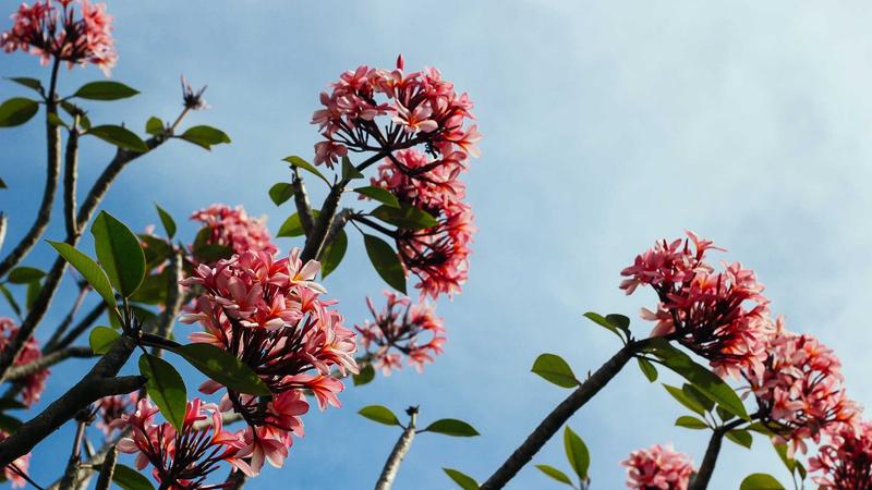 情绪管理秘籍：解锁心理健康的5把钥匙