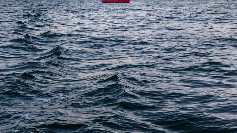 四季养生全攻略：中医智慧教你顺应天时调养身心