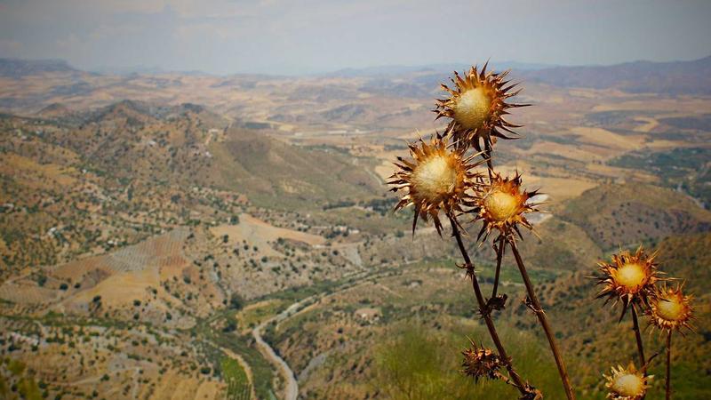 中医养生全攻略：顺应天时，解锁四季健康密码