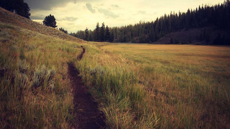「营养密码」：解锁饮食黄金搭配，吃出健康好体质