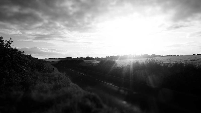 解锁饮食密码：吃出健康活力的黄金法则