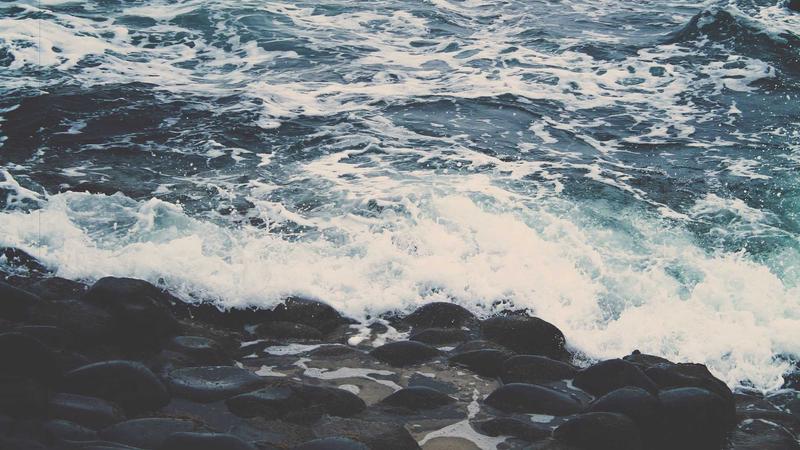 中医养生全攻略：顺应天时调阴阳，解锁健康长寿密码