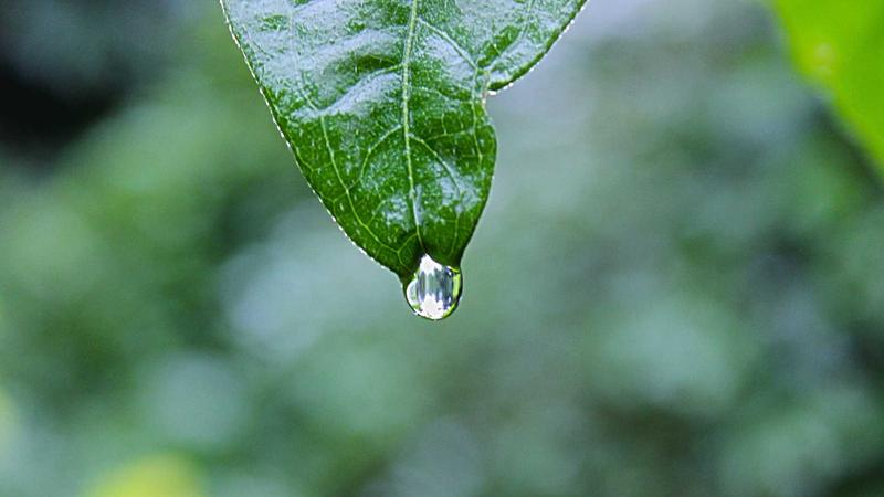 情绪急救箱：5个科学方法让你的心理‘免疫力’飙升